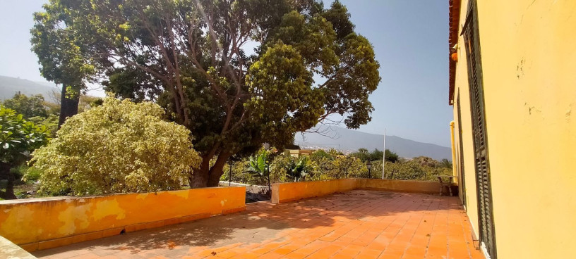 finca-rustica-en-venta-en-tf-322-ref-tdp2019-40-big-17