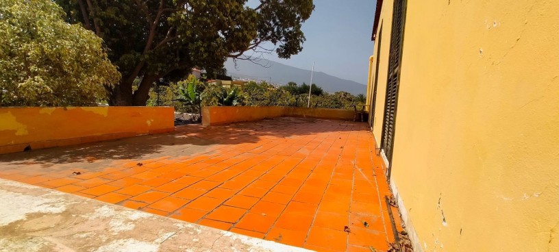 finca-rustica-en-venta-en-tf-322-ref-tdp2019-40-big-16