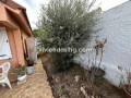 casa-o-chalet-independiente-en-venta-en-calle-la-gorvorana-sn-small-13