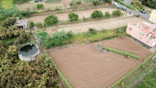 Finca rústica en venta en Montaña-Zamora-Cruz Santa-Palo Blanco