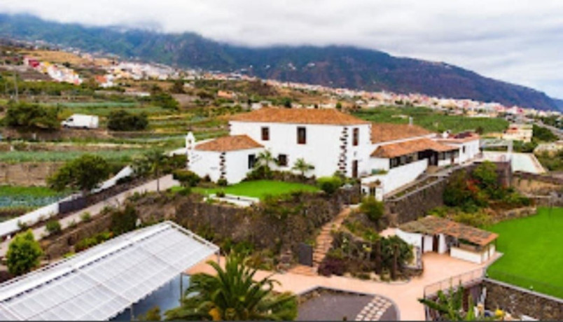 finca-rustica-en-venta-en-calle-la-higuerita-sn-big-14