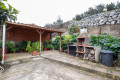 finca-rustica-en-venta-en-montana-zamora-cruz-santa-palo-blanco-small-4