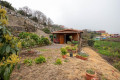 finca-rustica-en-venta-en-montana-zamora-cruz-santa-palo-blanco-small-1