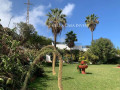 casa-o-chalet-independiente-en-venta-en-camino-la-suerte-sn-ref-100710501-small-1