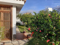 casa-o-chalet-independiente-en-venta-en-urb-los-potreros-longuera-toscal-small-25